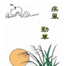 논-픽션: 질풍경초 (疾風勁草)