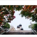돌산공원 정상 이미지
