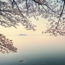 다람산근린공원 인라인스케이트장 | 대전 벚꽃 구경하기 : ) 원터치, 돗자리 피크닉 할 수 있는 곳