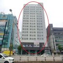 고양제비 이미지