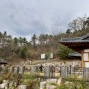 아라실