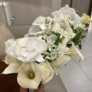 은하꽃집 이미지