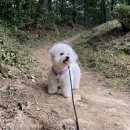 옥천이불마트 이미지