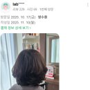 샵리유
