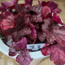 두리조경 이미지