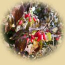 이동 원천마을 이미지