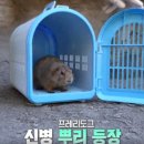 기봉이 농장 이미지