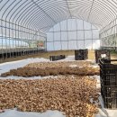 (주)버터플라이드림 이미지