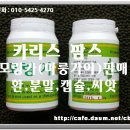 카리스팜스