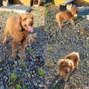 북부산업로 이미지