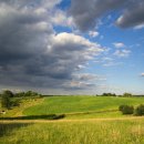 손해평가사 1차 - 상법 보험편 이미지