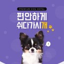 소울도기 이미지