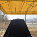 (주)호팡 | [일상] 캠핑 다녀온 캐로
