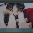 봉조 농촌체험 휴양마을 이미지