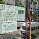 신돈키호테 이미지