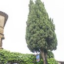 이브여인숙 이미지