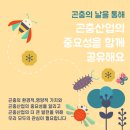 모두의곤충 이미지