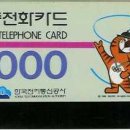 호돌이 이미지