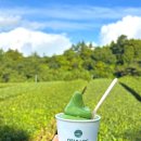 제주아이스뮤지엄종합전시관 | 제주 오설록 티 뮤지엄 이니스프리 녹차밭 녹차라떼 녹차아이스크림