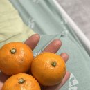 송도한방병원 | 교통사고 후 송도한방병원 입원 솔직 후기. 치료, 준비물, 식사까지 경험담 공유