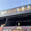 마전 | 검단맛집 타코몰리 마전점 솔직후기🌮 맥주 1900원 꿀혜택 있는 인천마전동맛집 (마전역맛집 추천)