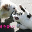 아 이미지