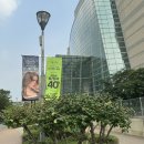 건대미용실 더디얼스 롯데백화점 건대점 뿌리염색 &amp; 커트