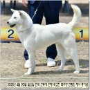 수컷 이미지