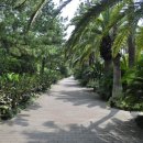 방림원 식물원 이미지