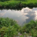 왕숙천 자전거도로7 이미지