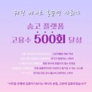 [W13] 대전 결혼 사회자 추천 내돈내산 계약후기｜정규성 사회자님 비용·선택 이유