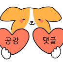 왕푸징 만두 이미지