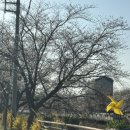 금산천1길 이미지