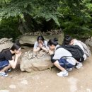 진주제일여자고등학교 네이버블로그