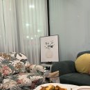 모모스테이블 이미지