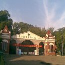 나비 게임장 이미지