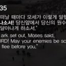 서신목장 이미지