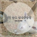 애완동물원 | 인천 송도 데이트코스 실내동물원 쥬벅스 방문 후기