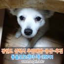 삼척시보건소 이미지