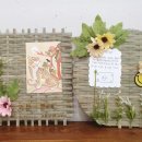 고분양태 이미지