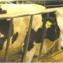 검한목장 이미지