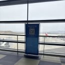 SPAR 편의점 | 중국 연태(옌타이) 전자 입국신고서 작성법, 입국심사, 공항 편의점 연태고량주 구매 후기