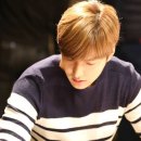 스타우스 이미지