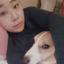 달맞이 호두네 동물병원 이미지