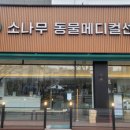 소나무동물메디컬 센터 이미지