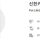 더펫(The Pet) 이미지