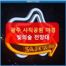 빛의 숲 이미지