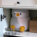 나노소연 | 3월