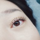 리얼진뷰티 | 대전 유성 관평동 속눈썹연장 잘하는곳 "리얼진뷰티" 방문후기