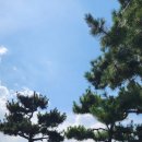 상광호 | 강원도 설악항 여행기_속초 숨은 보, 설악항 추천 횟집 BEST 3